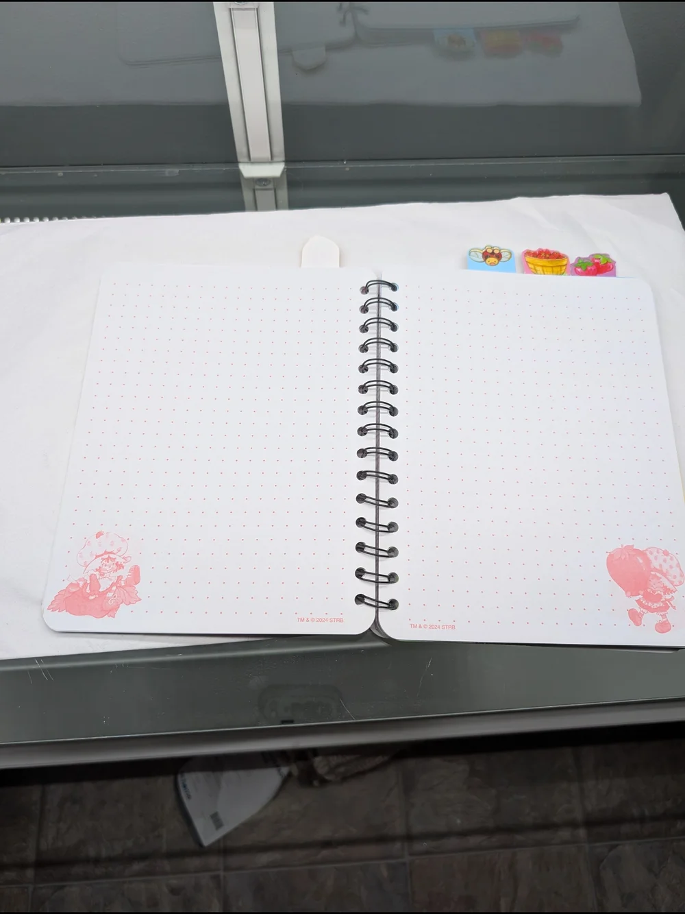 Strawberry Shortcake & Stitch Spiral Notebooks - Pink & Blue